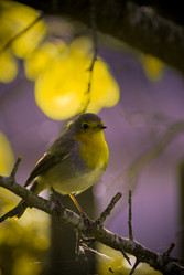 Similar image 818708