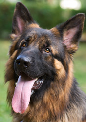 Similar image 818856