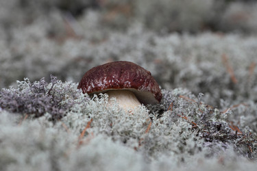 Similar image 818858