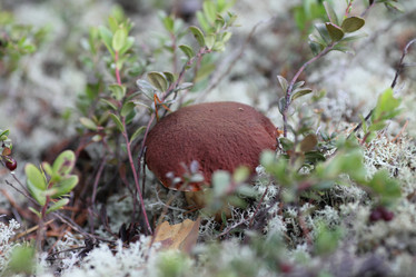 Similar image 818859