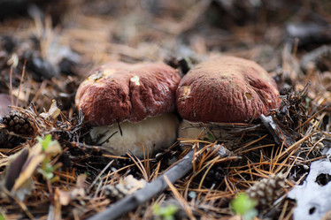 Similar image 818860