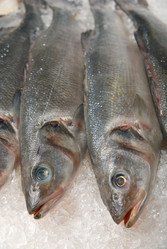 Similar image 818871