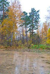 Similar image 818901