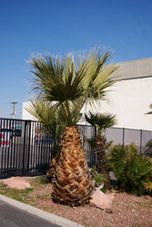 Similar image 818903