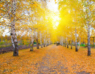 Similar image 818911