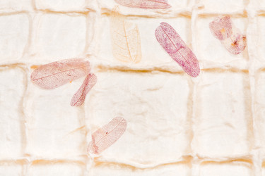 Similar image 818936