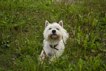 Similar image 818948