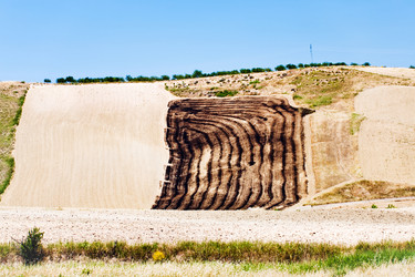 Similar image 818977