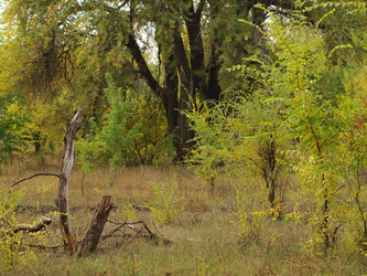 Similar image 819053