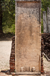 Similar image 819136