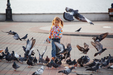 Similar image 819234