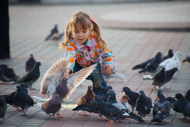 Similar image 819238