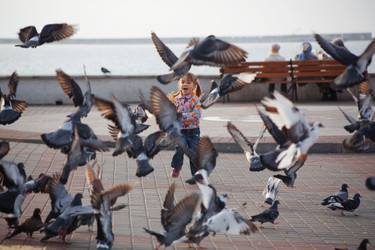 Similar image 819240