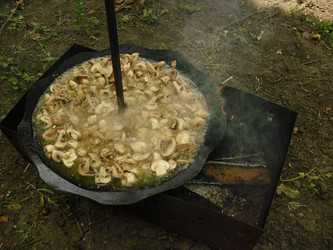 Similar image 819245