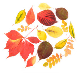 Similar image 819253