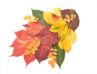 Similar image 819255