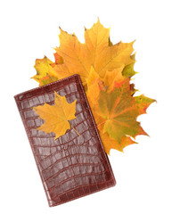 Similar image 819262