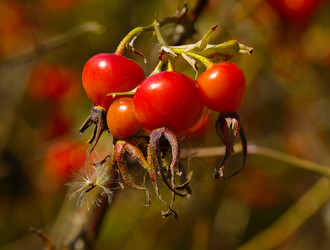 Similar image 819270