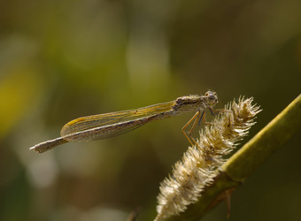 Similar image 819283