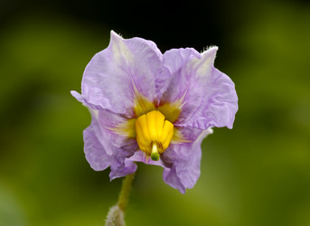 Similar image 819299