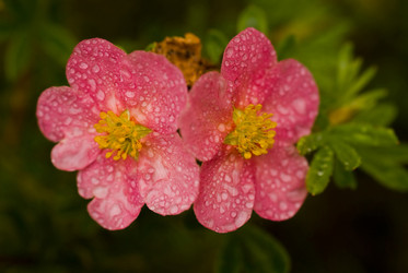 Similar image 819317