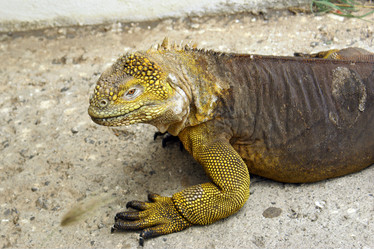 Similar image 819331