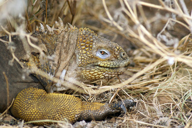 Similar image 819338