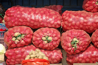 Similar image 819342