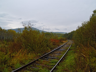 Similar image 819343