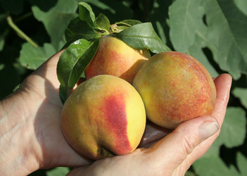 Similar image 819349