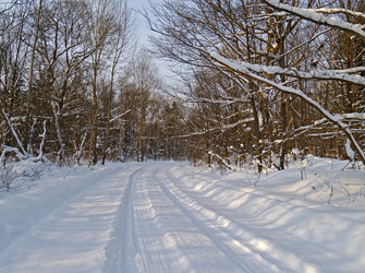 Similar image 819388