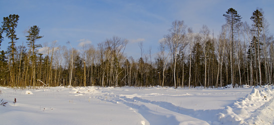 Similar image 819394