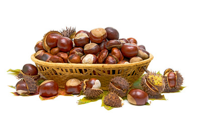 Similar image 819482