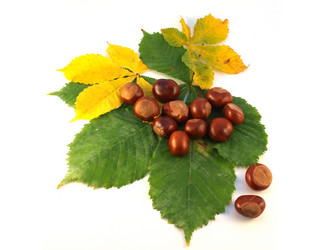 Similar image 819490