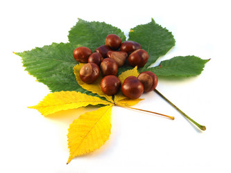 Similar image 819491