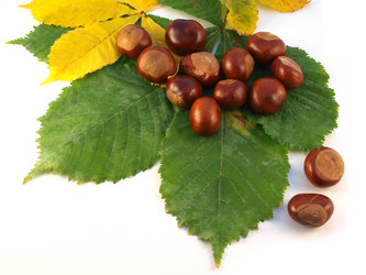 Similar image 819493