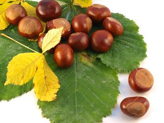 Similar image 819494