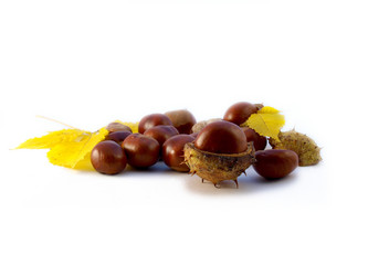 Similar image 819495