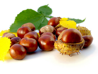 Similar image 819496