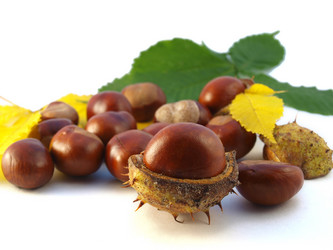 Similar image 819497