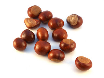 Similar image 819498