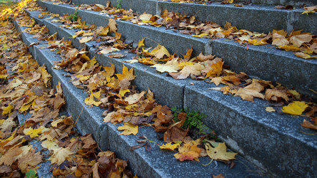 Similar image 819505