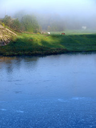 Similar image 819506