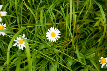 Similar image 819529