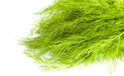 Similar image 819540