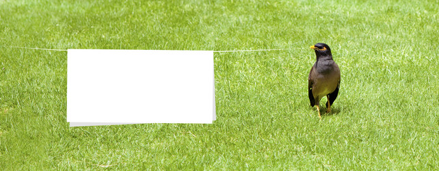 Similar image 819551