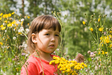 Similar image 819553