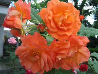 Similar image 819570