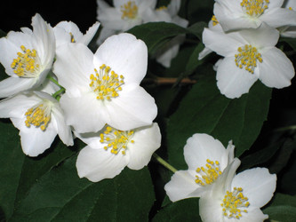 Similar image 819574