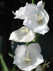 Similar image 819575